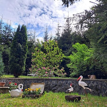 Pensiunea Colina Poiana Brasov Ngoại thất bức ảnh