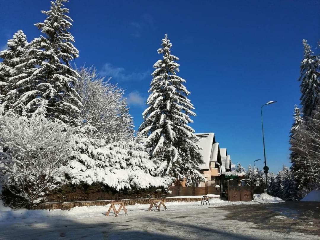 Pensiunea Colina Poiana Brasov Ngoại thất bức ảnh