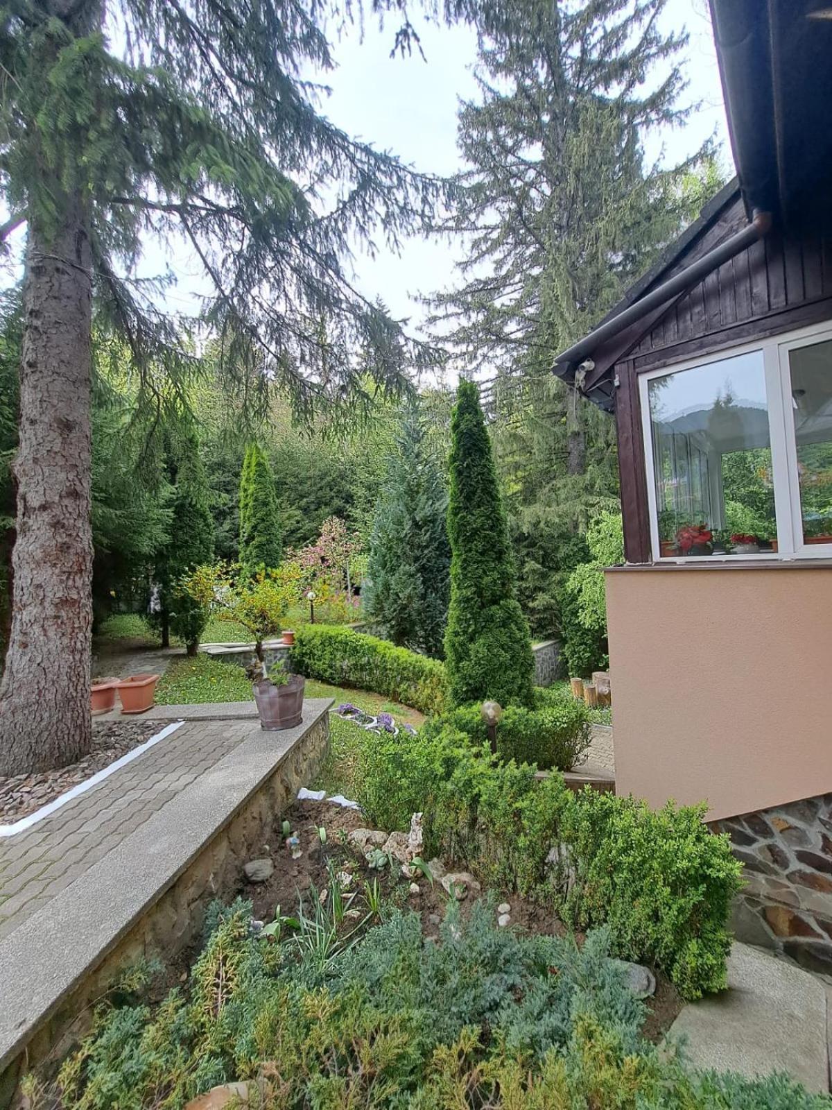 Pensiunea Colina Poiana Brasov Ngoại thất bức ảnh