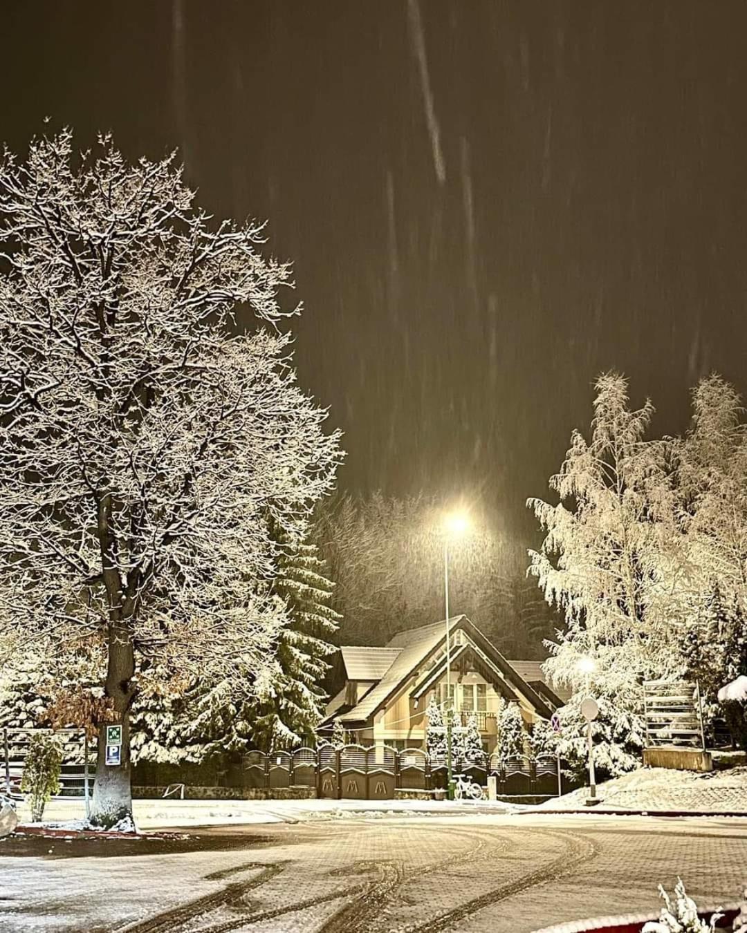 Pensiunea Colina Poiana Brasov Ngoại thất bức ảnh
