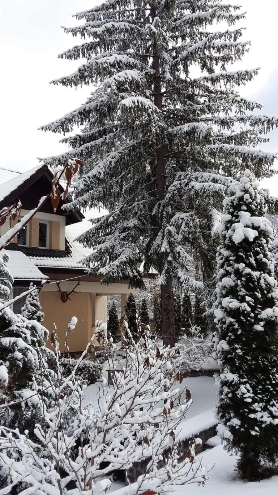 Pensiunea Colina Poiana Brasov Ngoại thất bức ảnh