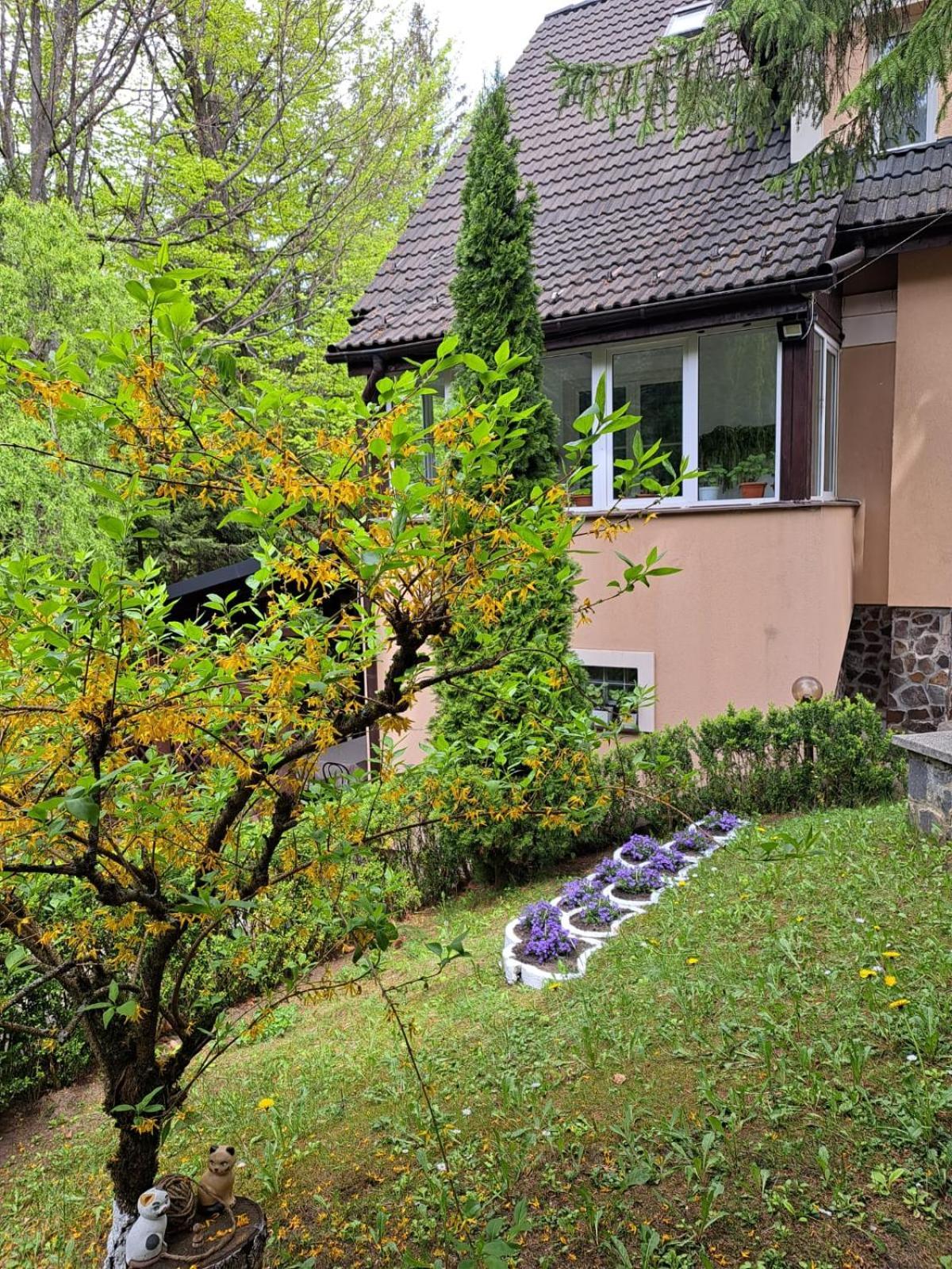 Pensiunea Colina Poiana Brasov Ngoại thất bức ảnh