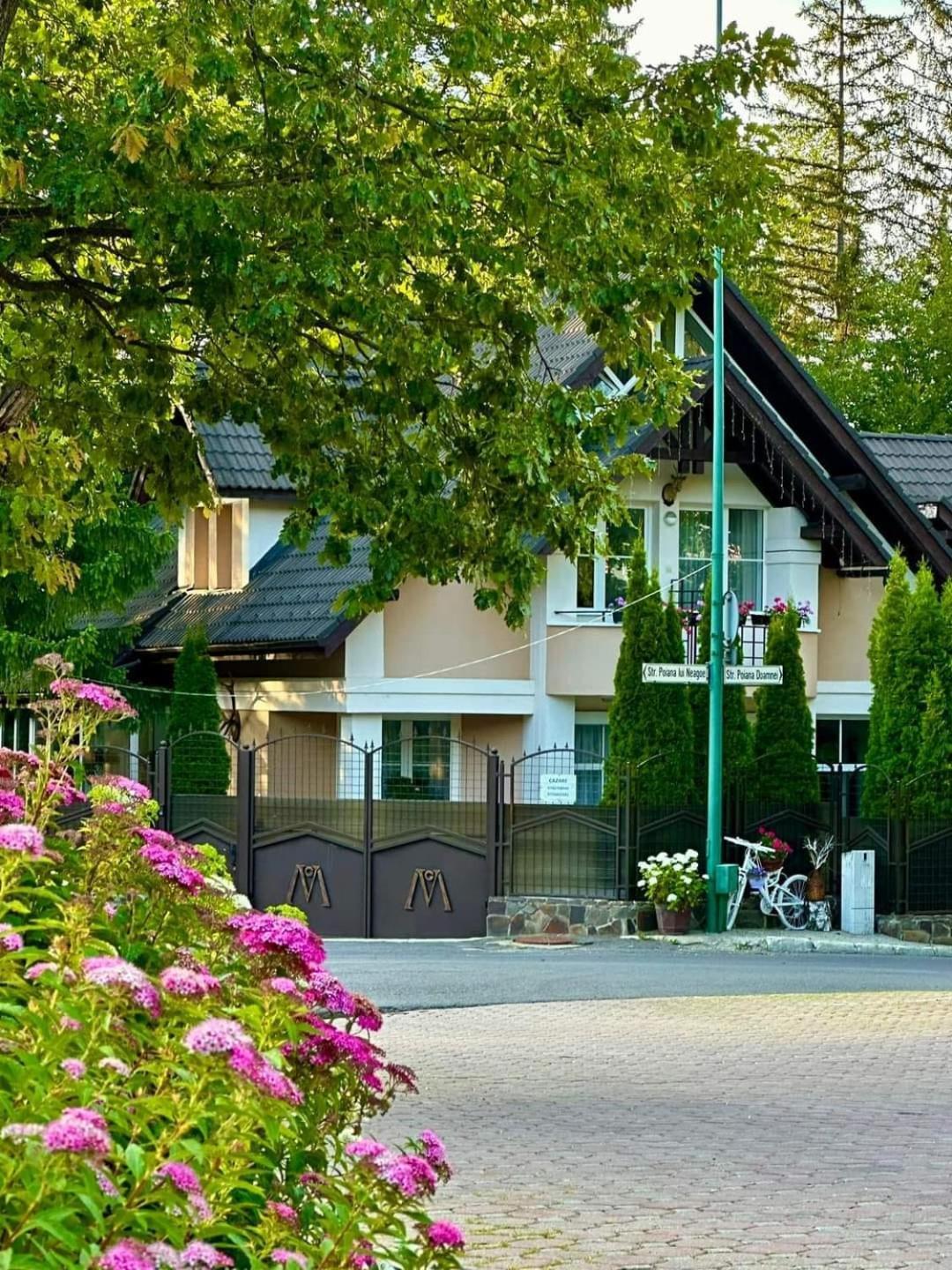 Pensiunea Colina Poiana Brasov Ngoại thất bức ảnh