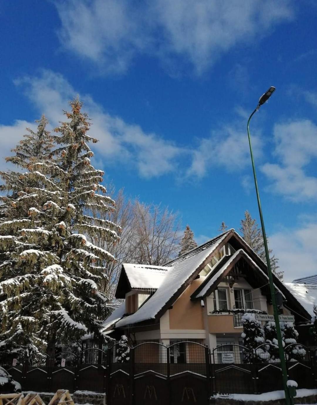 Pensiunea Colina Poiana Brasov Ngoại thất bức ảnh