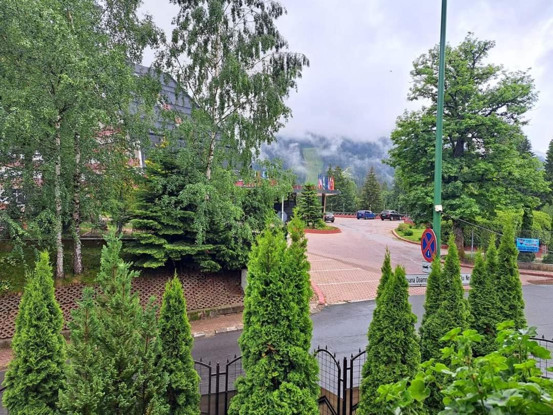 Pensiunea Colina Poiana Brasov Ngoại thất bức ảnh