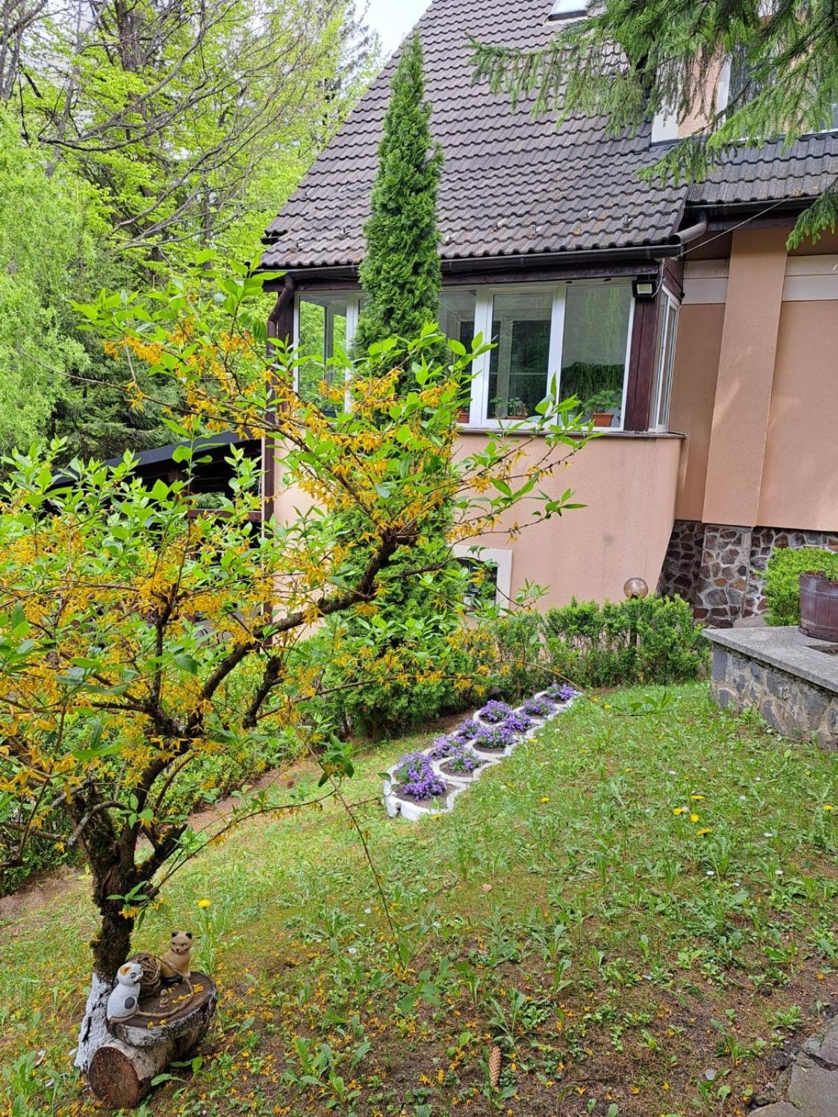Pensiunea Colina Poiana Brasov Ngoại thất bức ảnh