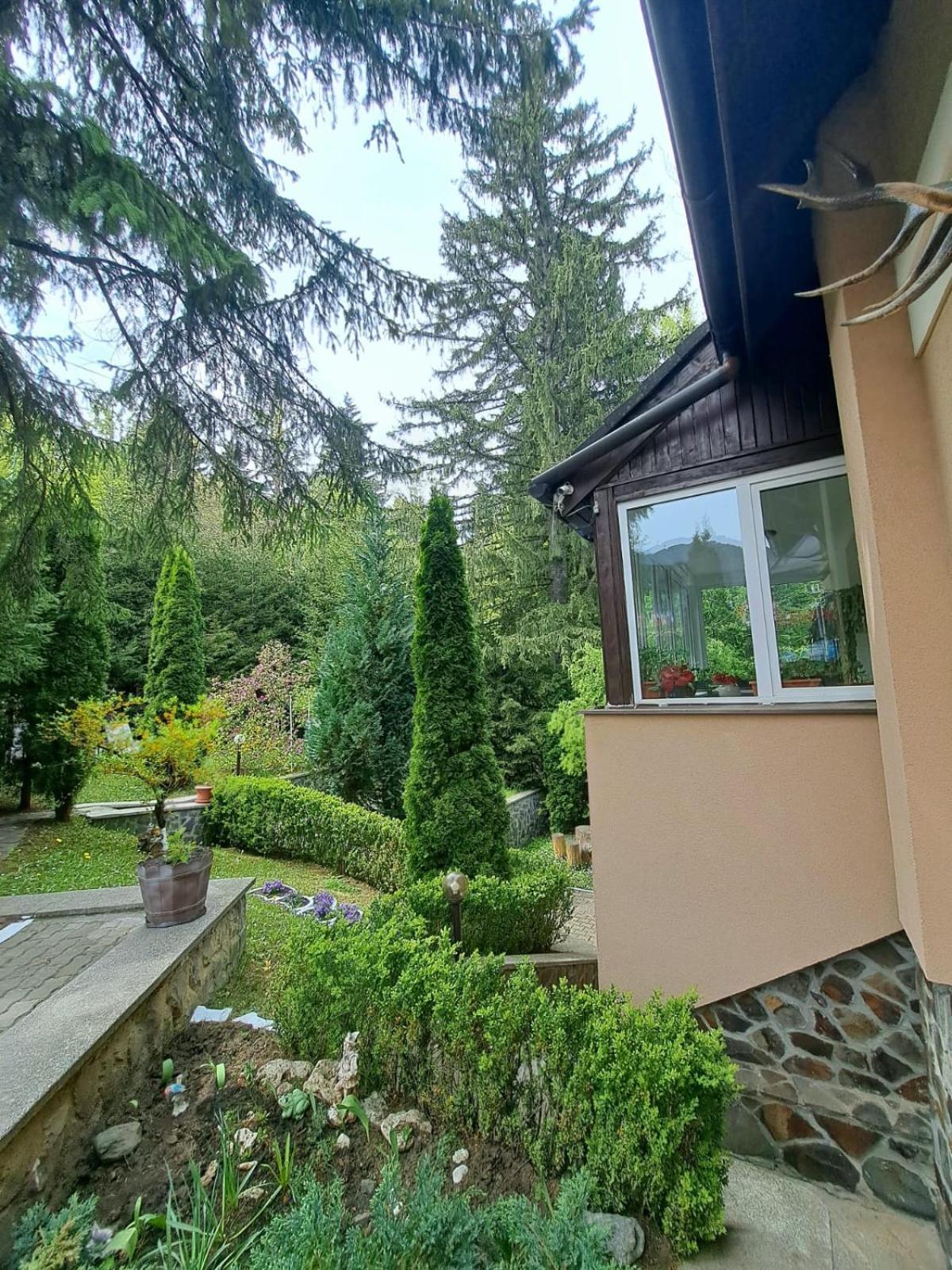 Pensiunea Colina Poiana Brasov Ngoại thất bức ảnh