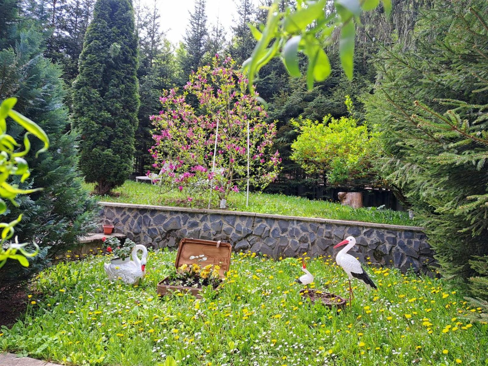 Pensiunea Colina Poiana Brasov Ngoại thất bức ảnh