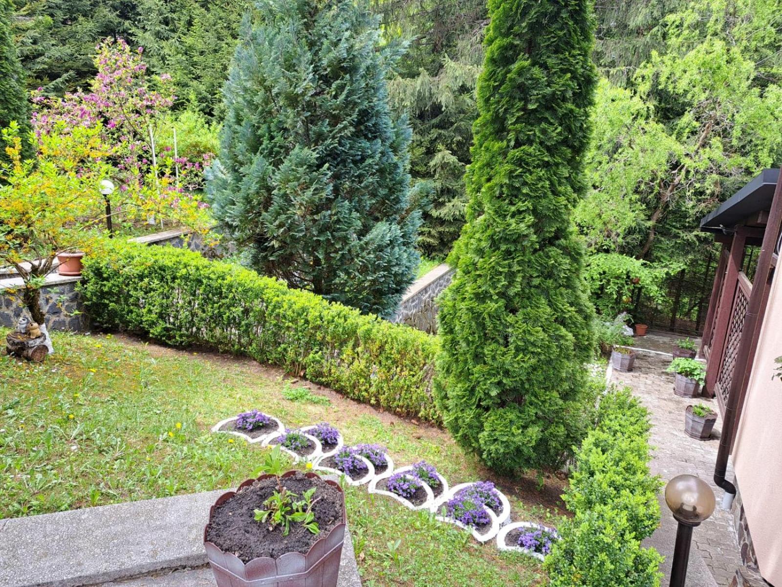 Pensiunea Colina Poiana Brasov Ngoại thất bức ảnh