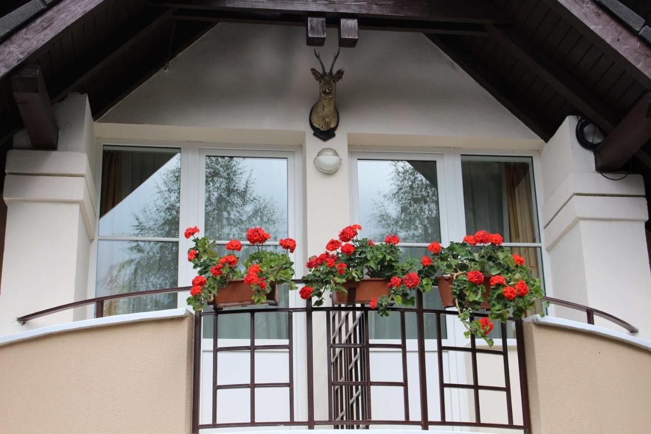Pensiunea Colina Poiana Brasov Ngoại thất bức ảnh